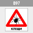 ���� ������, B97 (������, 300�300 ��)
